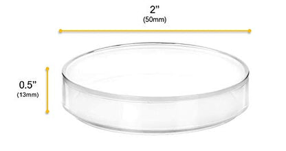 12PK Plastic Petri Dishes with Lids - 2" Diameter, 0.5" Depth - Molded in Polypropylene - Reusable, Autoclavable - Translucent - Eisco Labs