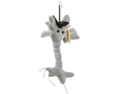 GIANT MICROBES Graduation Brain Cell Plush - Celebrate with Our Signature Brain Cell Plush donning a Graduation Cap and Tassel, Uniquely Fun Student Gift to Commemorate Achievements (Pack of 3) - size: Small (Pack of 3)