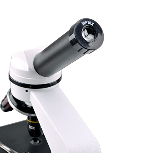 WF16X Widefield Microscope Eyepiece for Viewing