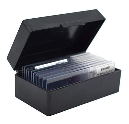 EISCO (Pack of 10) Elodea Stem Tip - Cross Section - Prepared Microscope Slides - Classroom Pack, 10 Slides in Storage Case - Biology & Microscopy - style: Pack of 10