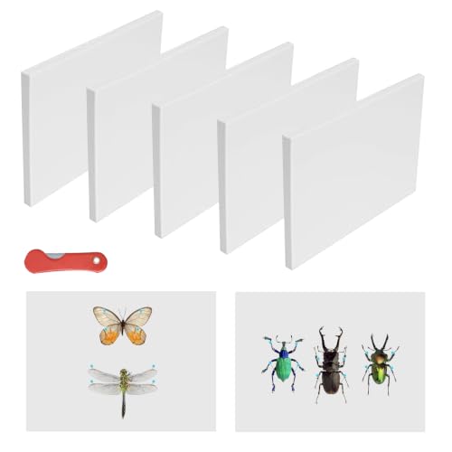 6 PCS Insect Pinning Board, 9.8 x 6.3 x 0.39 Inch EVA Foam Mat