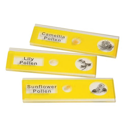 Prepared Microscope Slides for Kids – 12 Plastic Plant Specimens with Labels & Images – Safe, Durable Biology Science Kit for Students Ages 8+ - size: Plants - 12 pc