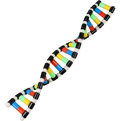 iplusmile DNA Double Helix Structure Models Kit Biological Science Popularization Teaching Aid for DNA Assembling, Educational Learning for School Student