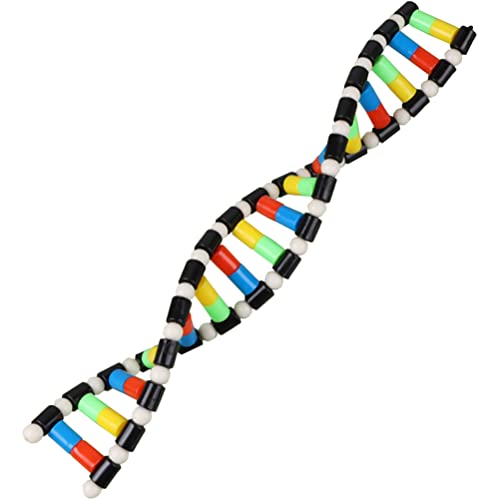iplusmile DNA Double Helix Structure Models Kit Biological Science Popularization Teaching Aid for DNA Assembling, Educational Learning for School Student