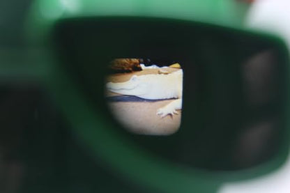 WARM FUZZY Alligator 3D Viewfinder | 3 Reels & 21 HD 3D Images - color: Alligator