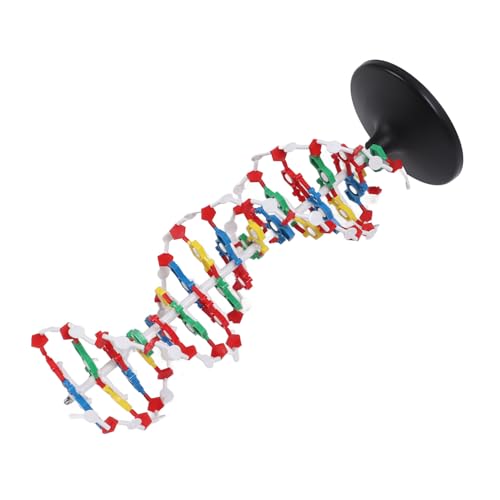 DNA Double Model, DNA Structure Model Plastic Double with 5 to 3 Chains Major and for Biology Teaching, DNA & RNA Extraction Kits