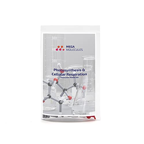 Photosynthesis and Cellular Respiration Molecular Model Set
