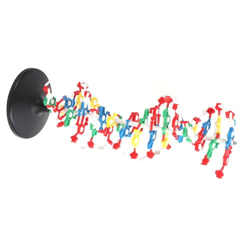 DNA Double Model, DNA Structure Model Plastic Double with 5 to 3 Chains Major and for Biology Teaching, DNA & RNA Extraction Kits