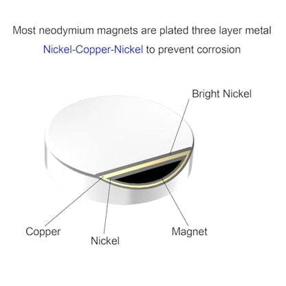 N52-5x2mm - 600 Pack Small Magnets, Small Round Disc Magnet for Refrigerator, Cylinder, Fridge, Office, Whiteboard, 2/10 Inch Durable Little Miniature Tiny Mini Magnets - size: 5mm D x 2mm H