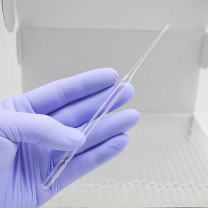 Pasteur Glass Pipette - Disposable Borosilicate Glass Pasteur Pipette (5-3/4" - 250pcs) - size: 5-3/4" - 250pcs