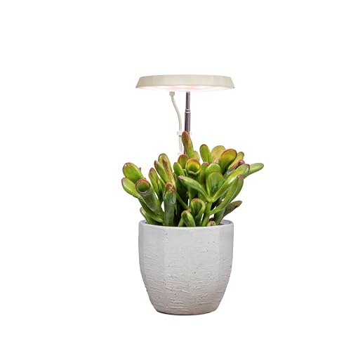 AeroGarden Stem Grow Light, Cream - color: Cream