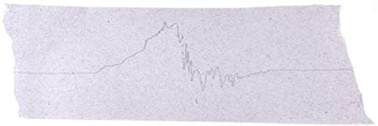 Eisco Labs Premium Seismograph Model
