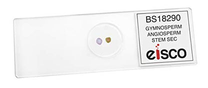 25PK Gymnosperm & Angiosperm - Prepared Microscope Slides - Classroom Pack, 25 Slides in Storage Case - Biology & Microscopy - Eisco Labs - style: Pack of 25