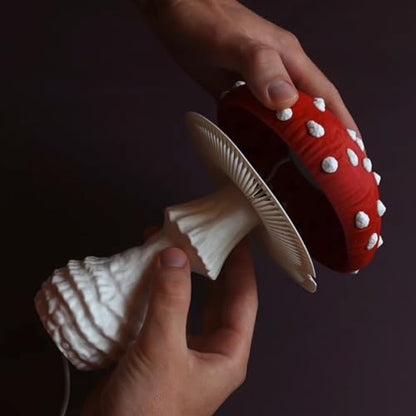 Polymaker Matte PLA Filament 1.75mm, 1kg, Lava Red - color: Matte Pla - 1.75mm Matte Lava Red (Hex Code: #Ed2f2e), size: 1kg