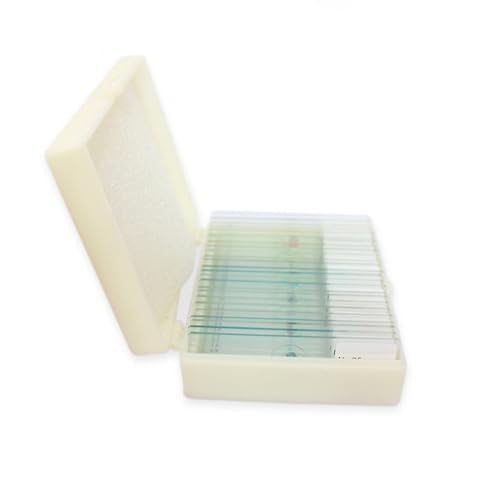 25pcs Microscope Slides for Prepared Onion Root Tips Cell Mitosis Microscope Slides Microbiology, Glass Slides for Microscope, Biology Gifts