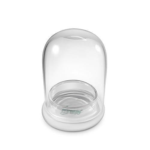 Bloomify Terra Gel Plant Propagation Seed Starter Tray with Glass Dome – Advanced Technology Gardening Supplies Plant Propagation Station for Succulents – Easy to Use Seed Starter Kit