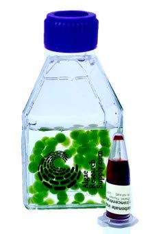 Algae Research and Supply: Live Algae Beads (200 Count) Science Kit for Classroom Photosynthesis and Respiration Experiments - style: 200-Algae Beads Only