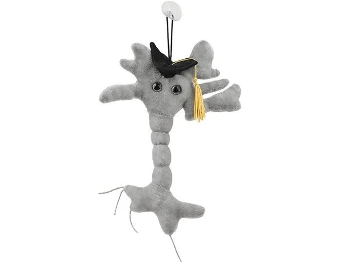 GIANTmicrobes Graduation Brain Cell Plush - Celebrate with our signature Brain Cell plush donning a graduation cap and tassel, Uniquely Fun Student Gift to Commemorate Achievements - size: Small