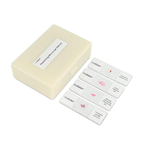Prepared Parasitology Microscope Slide Set, Excellent 30pcs Slides Resource for Instruction at The College Level (Parasitology) - color: Parasitology