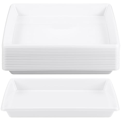 Maitys 15 Pcs Large Activity Plastic Art Trays for Kids Crafts, White - color: White