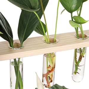 YIBOT Plant Propagation Glass Test Tubes Accessories