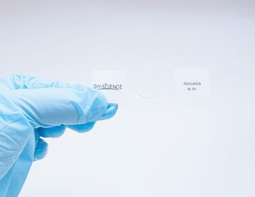 Amoeba Proteus Whole Mount Prepared Microscope Slides, 1pcs Amoeba Slide Shows Nucleus, Cytoplasm and The Cell Membrane