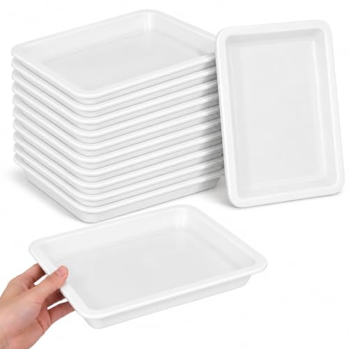 DOITOOL 12 Pcs Lab Trays, Chemical Resistant PP Spill Containment Trays