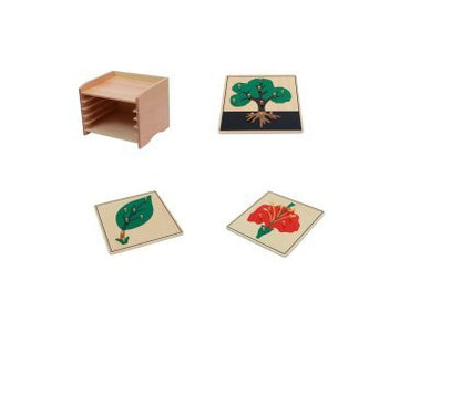 Adena Montessori Materials Botany Puzzle Cabinet (3 Puzzles Included)