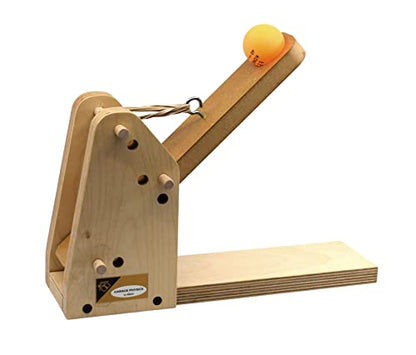EISCO Catapult Build Kit for Physics and Engineering Instruction - Adjustable Lever Arm with Variable Launch Geometry - Includes Materials and Assembly Guide for Investigating Force and Acceleration