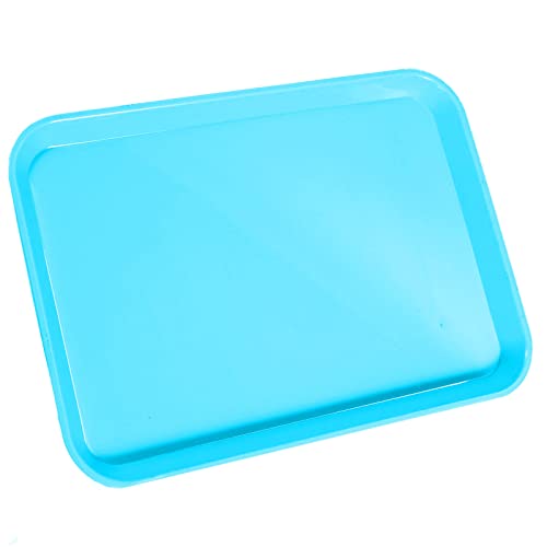 LA MIERE 1Pcs Autoclavable Dental Procedure Tray Lockable Set up Flat Trays Size B (Ritter),Plastic Instrument B-Lok Flat Trays, 13.25 x 9.75X 0.875 Inches (1, Sky Blue) - color: Sky Blue, size: 1