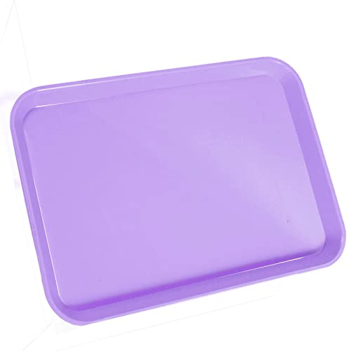 LA MIERE 1Pcs Autoclavable Dental Procedure Tray Lockable Set up Flat Trays Size B (Ritter),Plastic Instrument B-Lok Flat Trays, 13.25 x 9.75X 0.875 Inches (1, Digital Lavender) - color: Digital Lavender, size: 1