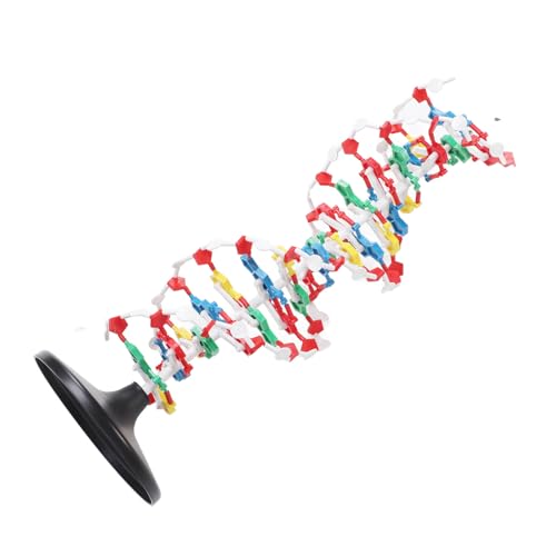 DNA Structure Model Plastic Educational DNA Model Teaching Equipment