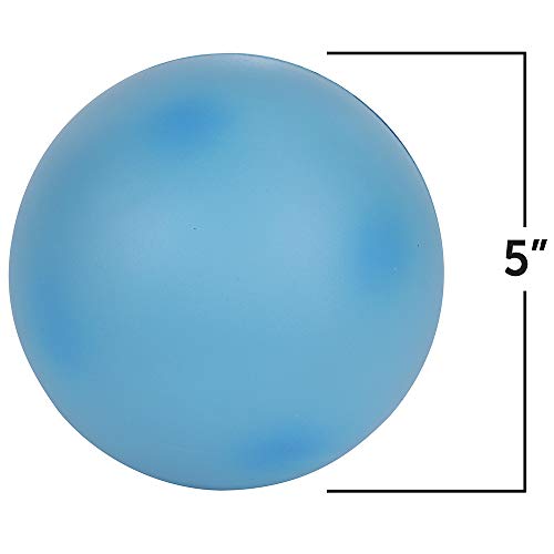 Learning Resources Cross-Section Animal Cell Model