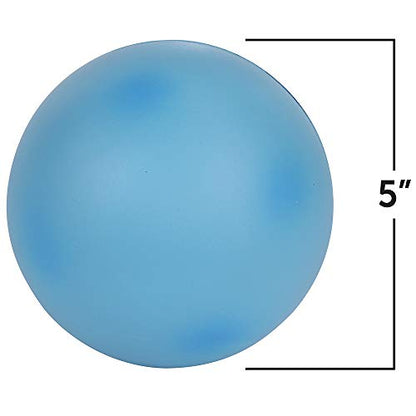 Learning Resources Cross-Section Animal Cell Model