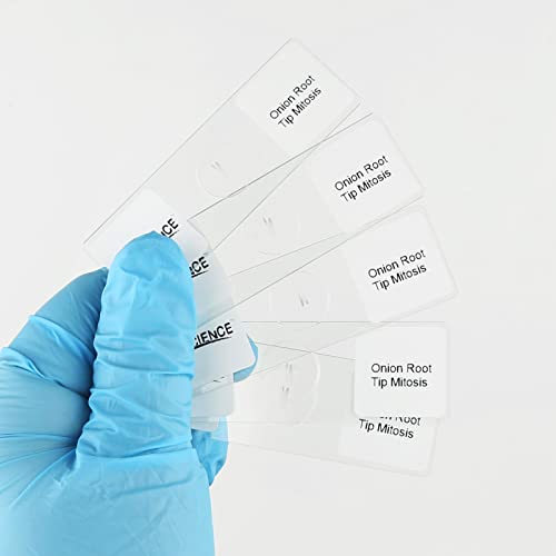 Onion Root Tips Cell Mitosis Microscope Slides Set, 5pcs Pack Show Plant Cell Mitosis Stages for Plant Genetics Biology Science Class (5 Count) - color: 5 count
