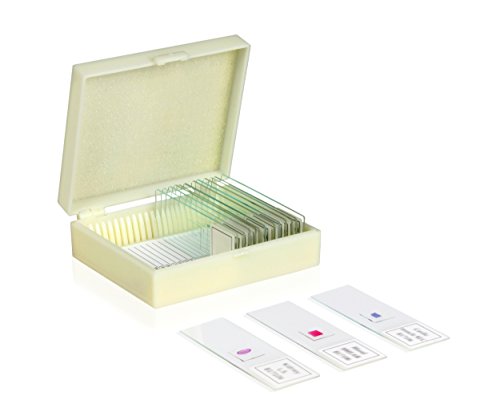 VSH112 Microscope Prepared Slide Set – Human Physiology (Set of 16) | Slides are Clearly Labeled for Easy Identification | Specimens are Cover Slip Sealed