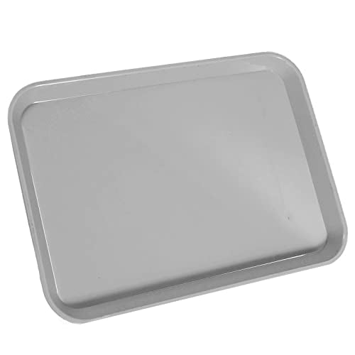 LA MIERE 1Pcs Autoclavable Dental Procedure Tray Lockable Set up Flat Trays Size B (Ritter),Plastic Instrument B-Lok Flat Trays, 13.25 x 9.75X 0.875 Inches (1, Loyal Gray) - color: Loyal Gray, size: 1