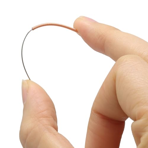 10 Pieces 3D Printer Nozzle Cleaning Kit, Stainless Steel Needles Cleaner Nozzle Cleaner, 0.15/0.2/0.25/0.3/0.35/0.4/0.5/0.6/0.8/1.0mm Clog Removal Tool Kit for 3D Printers