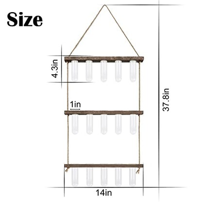 XXXFLOWER Wooden Stand with Test Tube Propagation Station Rack Desktop Hydroponics Terrarium Wall Terrarium for Home Office Plant Hanger Flower Vases Wall Decor Hydroponic Cuttings