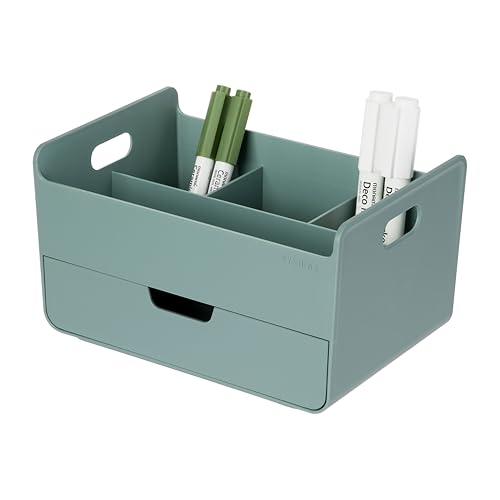 BLUE GINKGO Portable Desk Organizer, Green, Made in Korea - color: GREEN, size: Portable