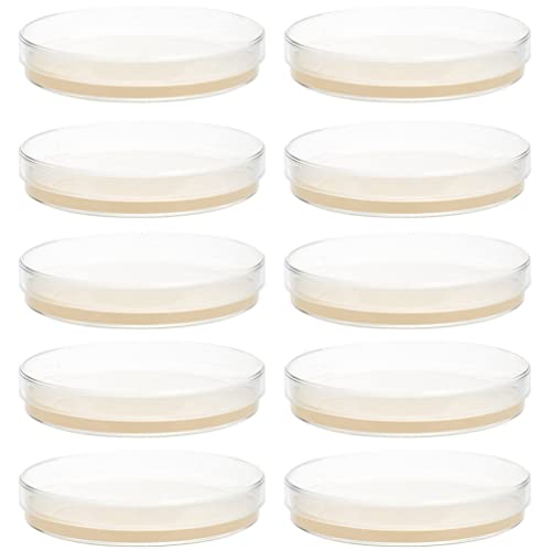 SOLUSTRE 10pcs Nutrient Agar Plate Petri Dish Petri Dish with Lid Agar Plates Culture Plate