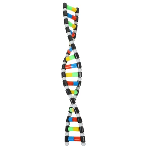 Alasum DNA Double Helix Model Molecular Model Kit for Biology Teaching Display Science Education Toy for Classroom Student Learning and Biology 15.74In