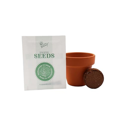 BUZZY Seeds Candy Cane Peppermint Grow Kit 6-Pack, Terracotta Pots - color: 6pk Candy Cane Peppermint