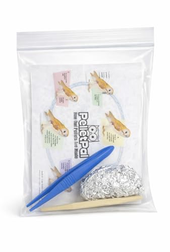 Premium Barn Owl Pellets, Large: 1.5"-2.5" (Pack of 1) - Free Bone ID Chart, Forceps, Paddle Pick, and Teaching Guide Included!