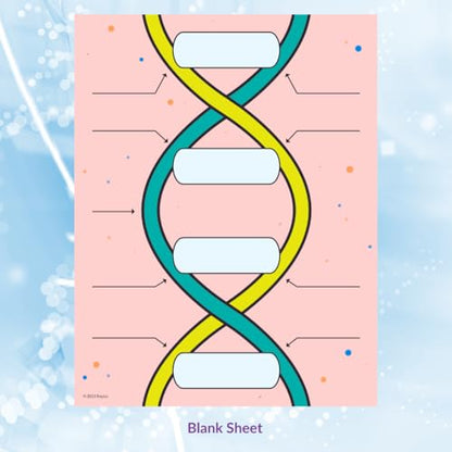 Roylco DNA Builder – Back to School Interactive DNA Model Kit for Kids, Hands-On STEM Activity for Classrooms, Science Centers & Homeschool Learning