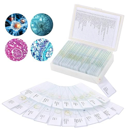 30 Microscope Slides with specimens, Plants, Insects, Animal Cell Samples for use in Biological Science Labs for Children, Students and homeschools - size: 30pcs