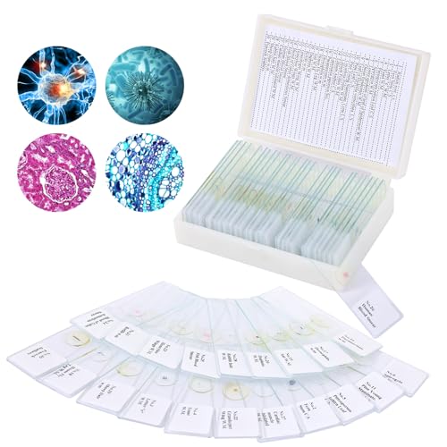 30 Microscope Slides with specimens, Plants, Insects, Animal Cell Samples for use in Biological Science Labs for Children, Students and homeschools - size: 30pcs