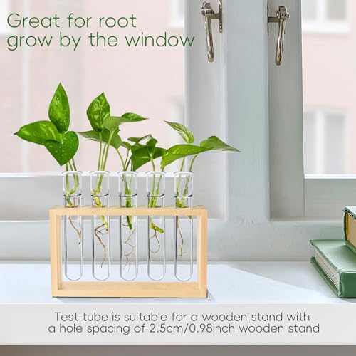 15Pcs Plastic Plant Propagation Tubes, Clear Test Tubes for Plant