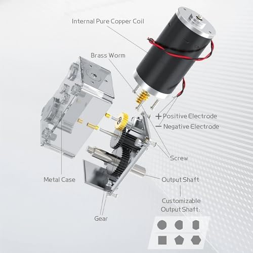 DC 24V Gear Motor 5RPM 30Kg.cm 8mm Single Shaft Self-Locking High Torque Speed Reduction Motor, Reversible Mini Turbine Geared Motor JSX634-31ZY - size: 24v 5rpm