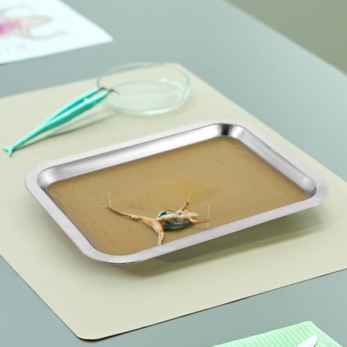iplusmile 6 Pack Dissection Trays with Wax, 10.2 x 7.5 Inch Stainless Steel Dissection Pans, Reusable Wax Lab Trays for Biology Classroom Anatomy Science Education - color: Yellow